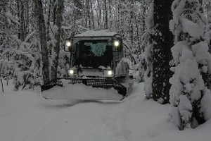 Grooming Trails